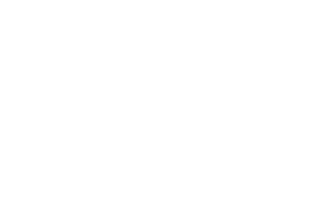 Palladian Asset Management